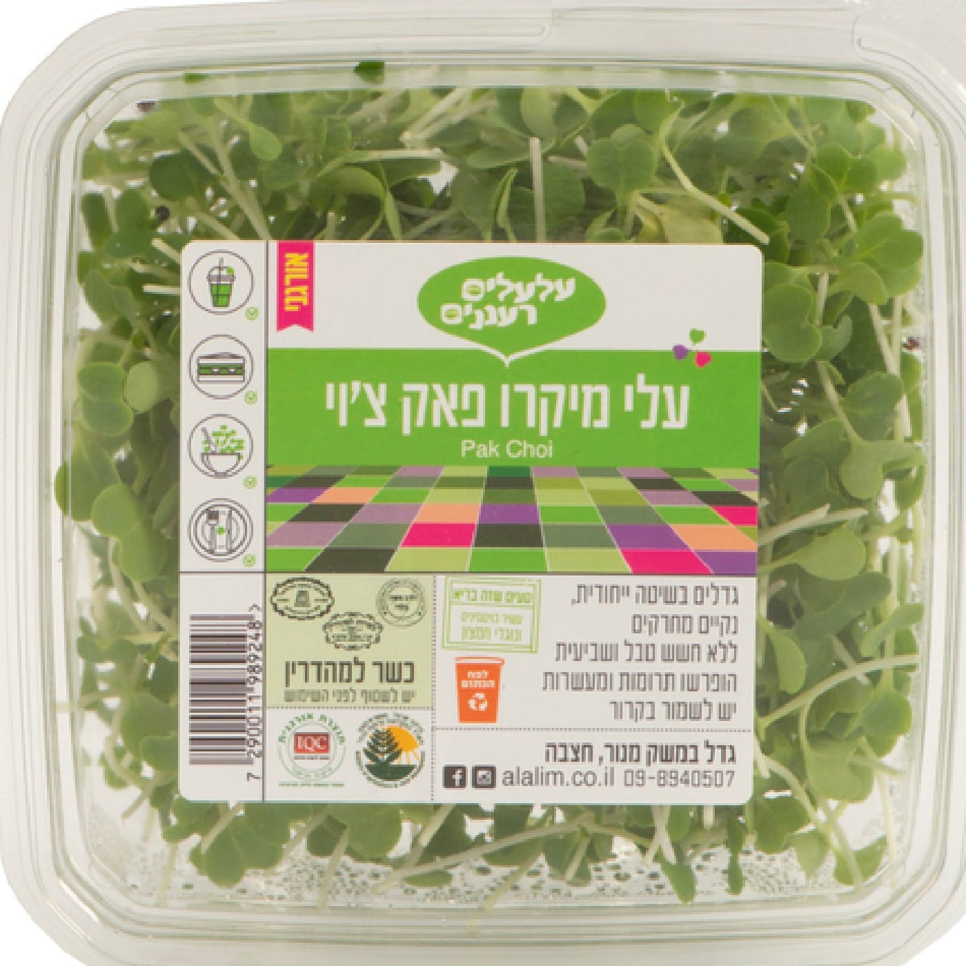 עלי מיקרו באק צ'וי