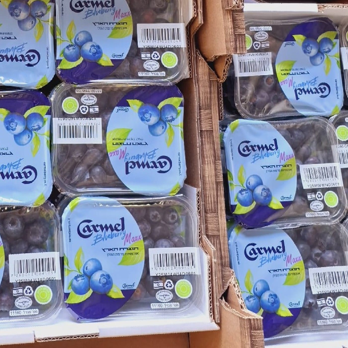 אוכמניות כרמל