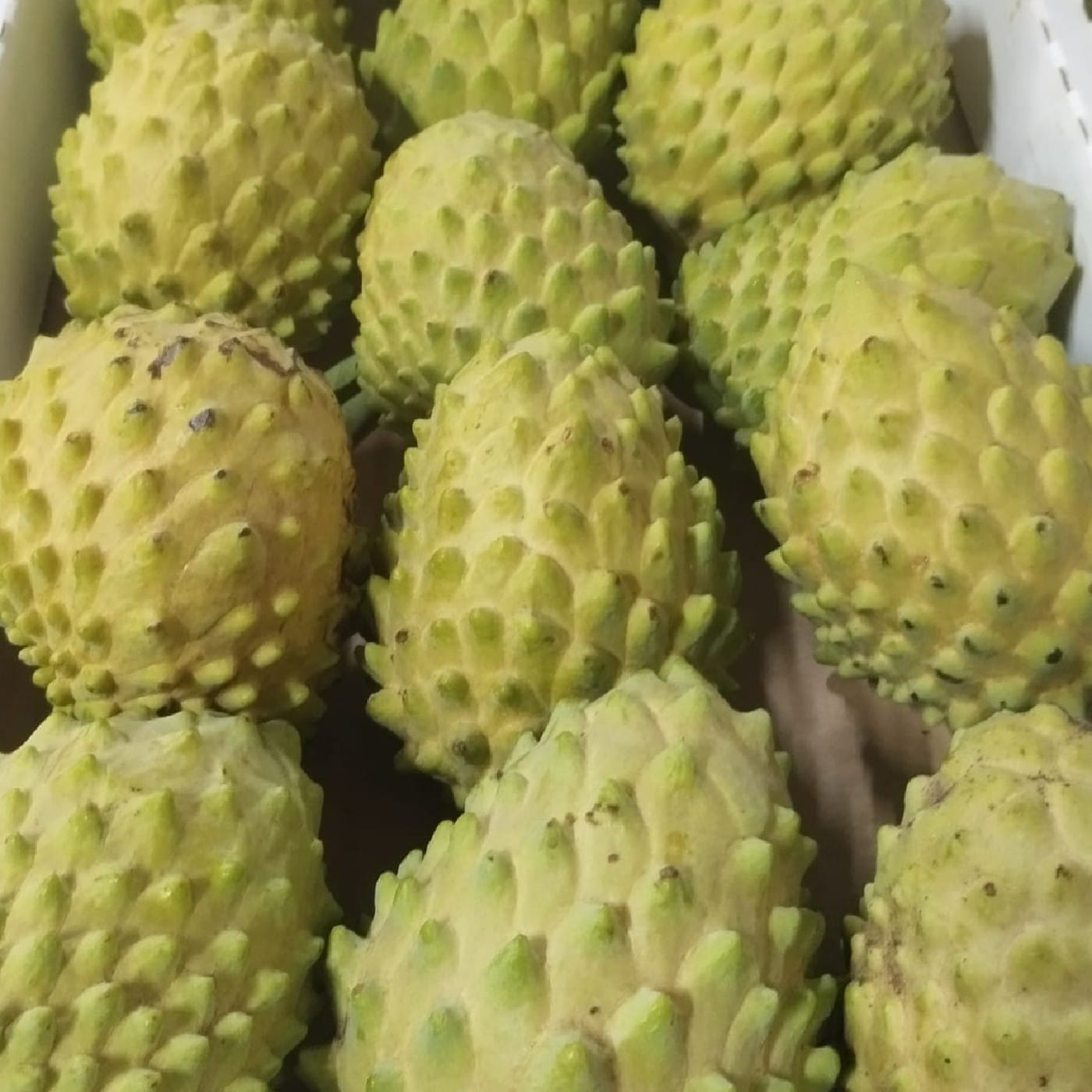 אנונה ירוקה