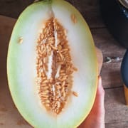 זן חדש.טעם מלוני עדין. מגיע בגוון ירקרק-קרם. ריח משגע! 2.5-4.5 ק