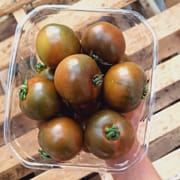 עגבניות מצוינות!, בגודל של עגבניה רגילה