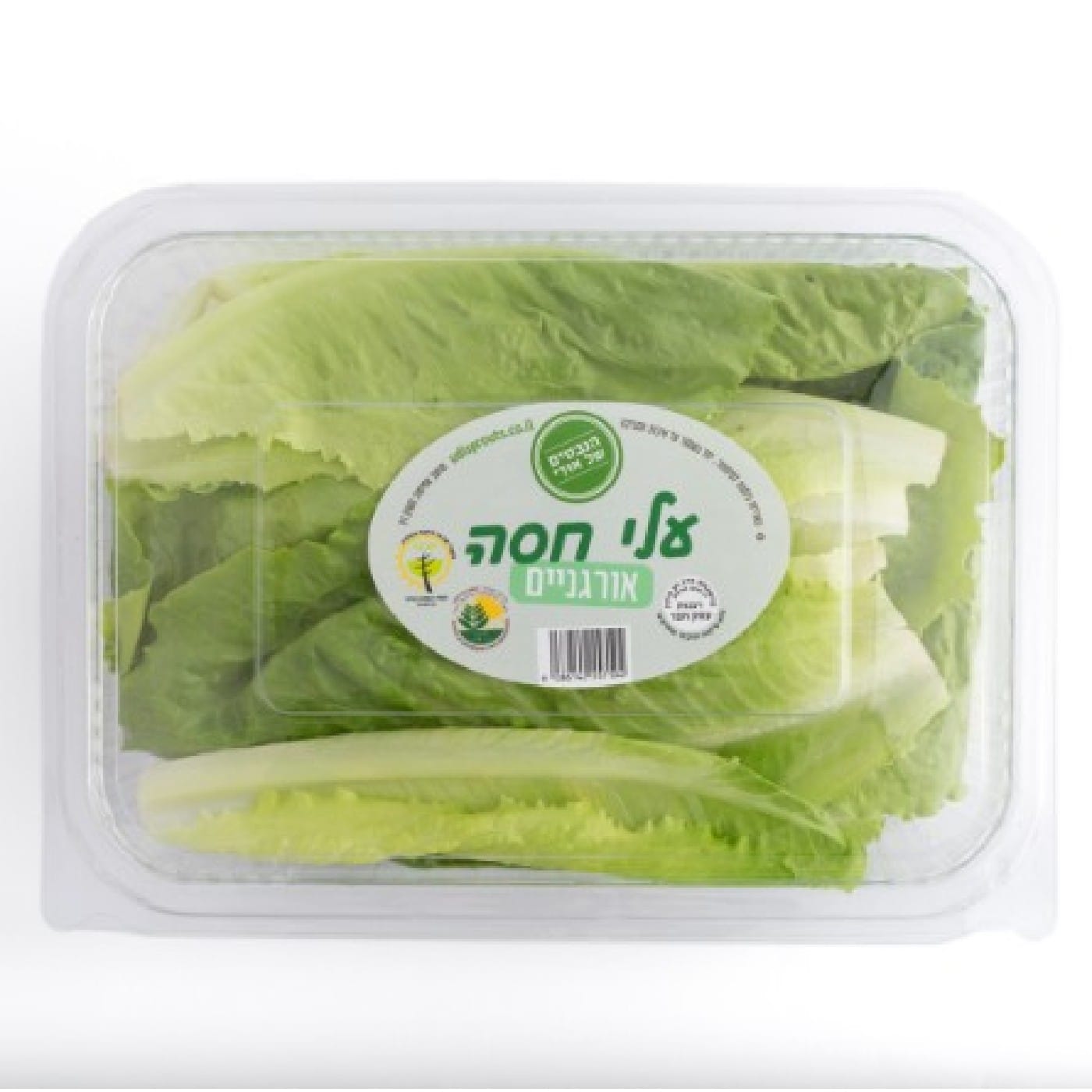 עלי חסה אורגניים