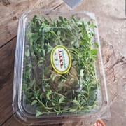 מרכיב מרכזי בתערובת הזעתר המפורסמת. באריזה לשמירת הטריות