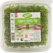 עלים כהים ירוקים ובעלי צורה אליפטית איחודית. טעם חזק של פלפל. ראשד - מוכר בארץ גם כ