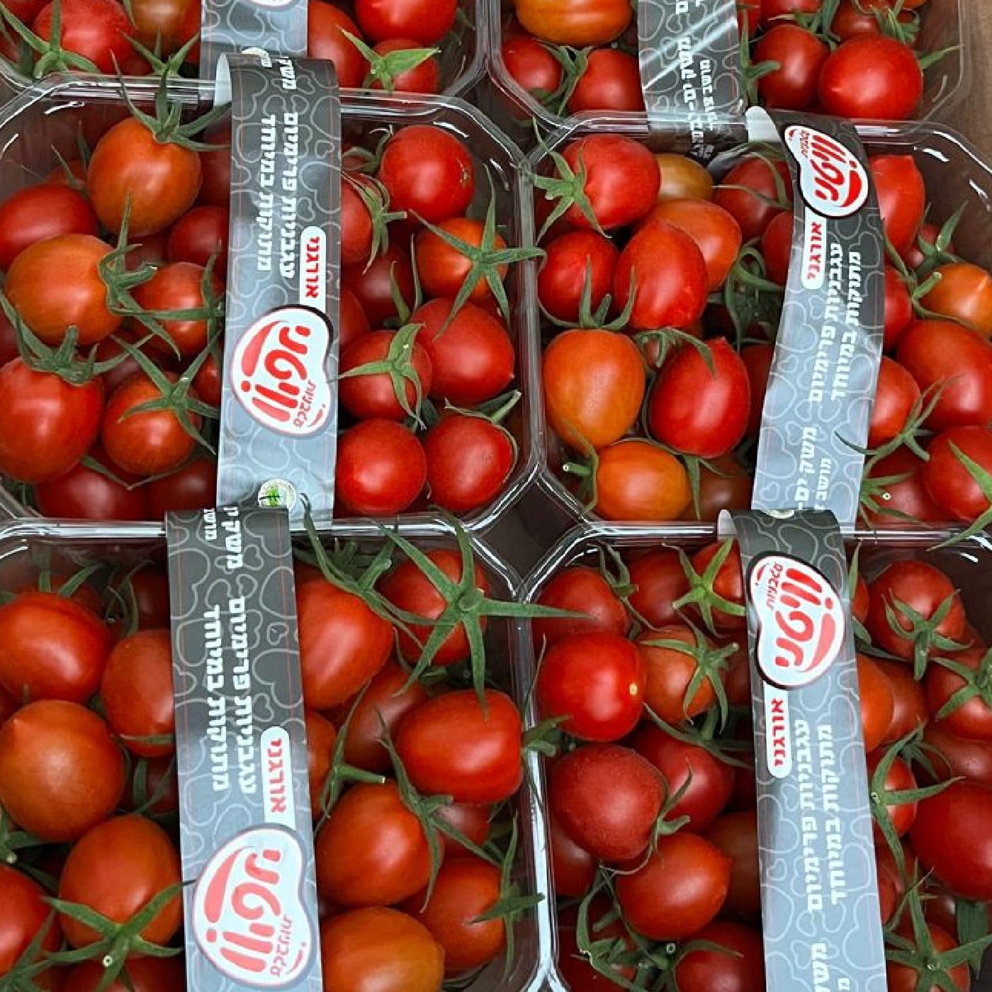 עגבניות שרי וויטני אורגניות