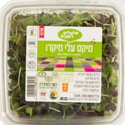 תערובת של עלי מיקרו שונים, חלקם בעלי טעם ניאטרלי ואחרים בעלי חריפות עדינה.