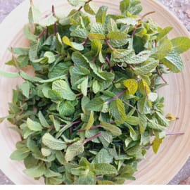 כ-85 ג'. קופסא השומרת על טריות