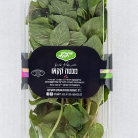 עלי נענע בשרניים עם טעמים וניחוחות של שוקולד וקקאו. מתאים במיוחד לקינוחים ולמנות קרות