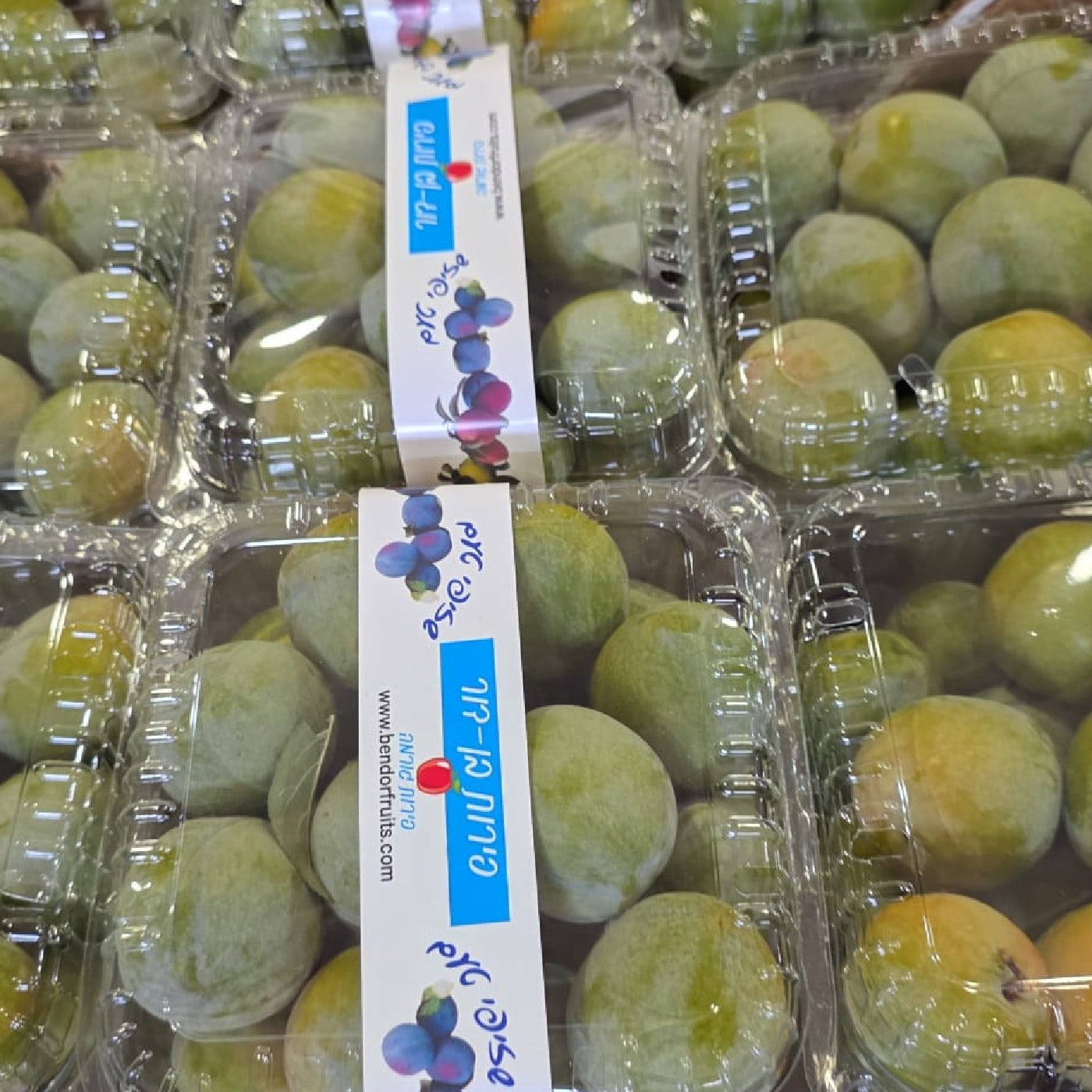 שזיף טרטל אג (ביצת צב)
