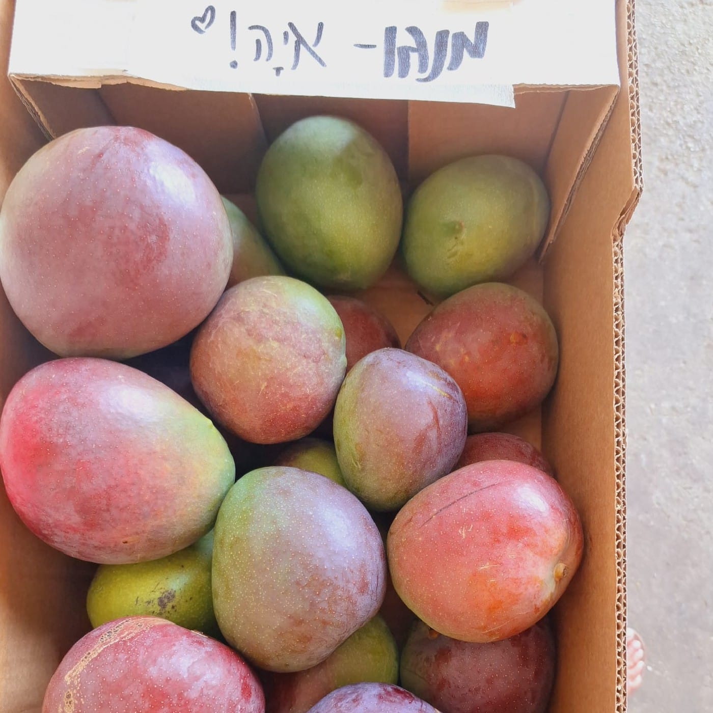 מנגו זן איה אורגני.