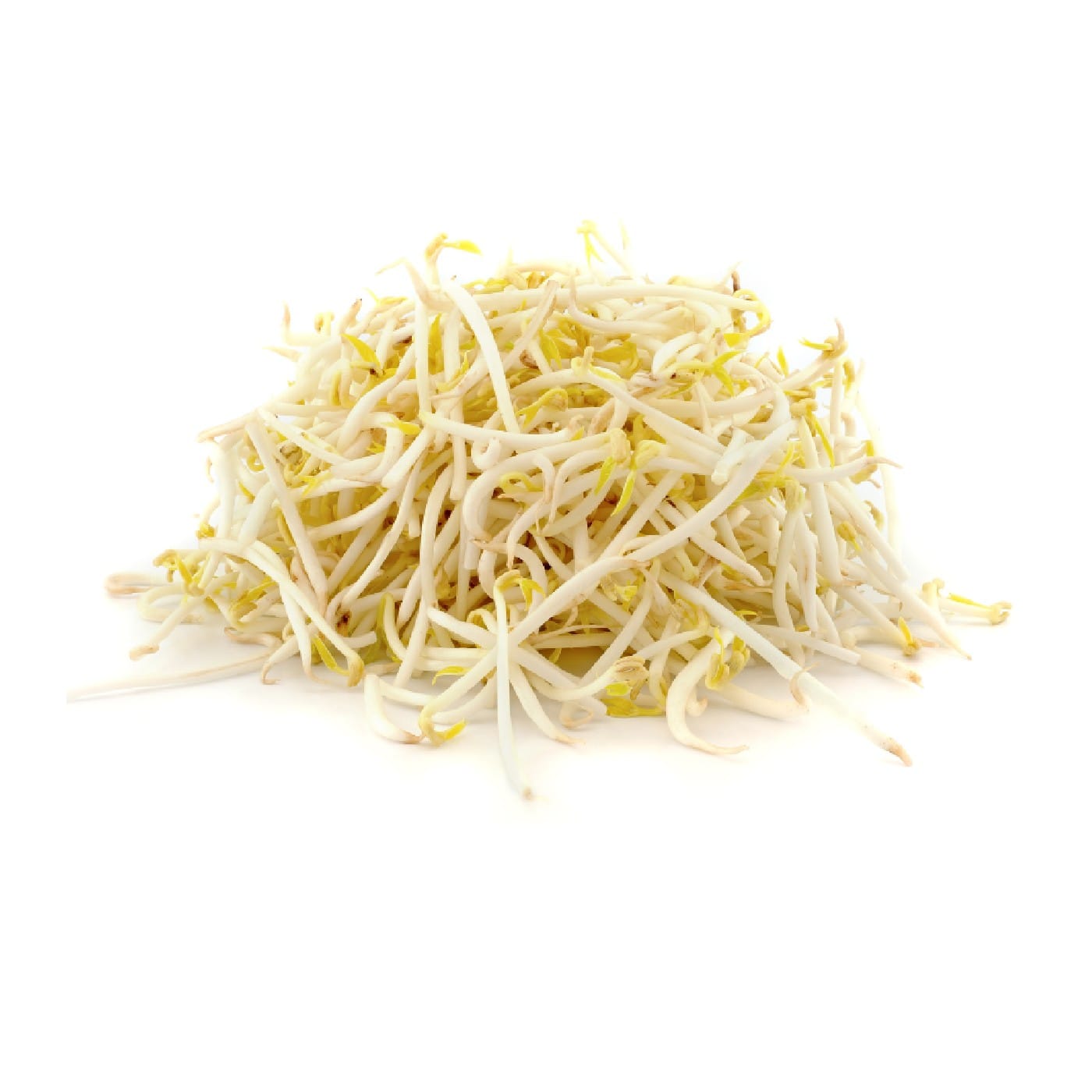 נבטים סיניים מהדרין