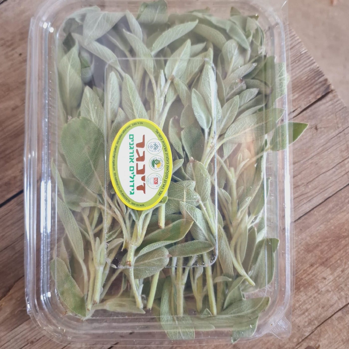מרווה אורגנית מארז