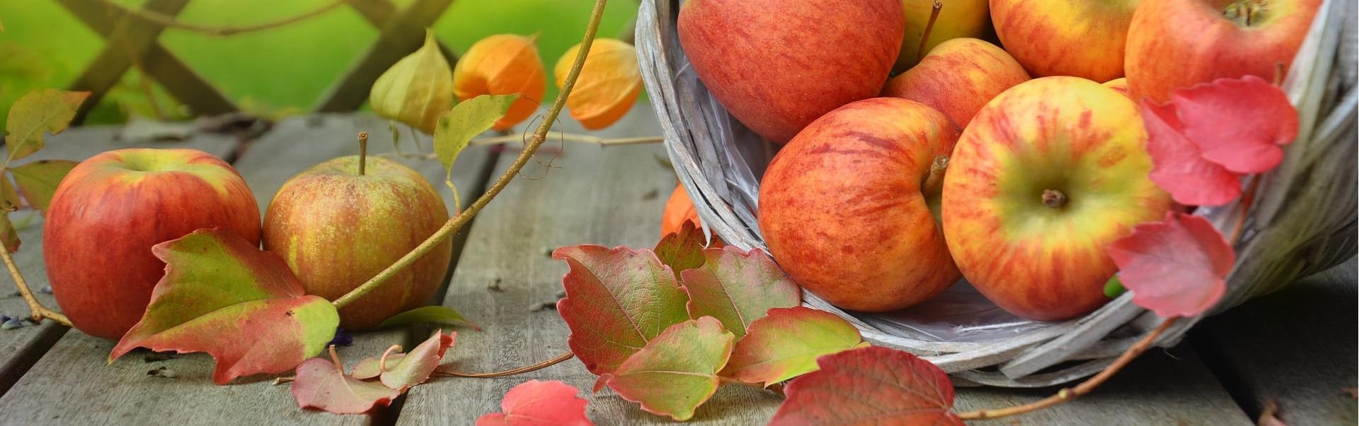 משלוח ירקות ופירות אורגניים