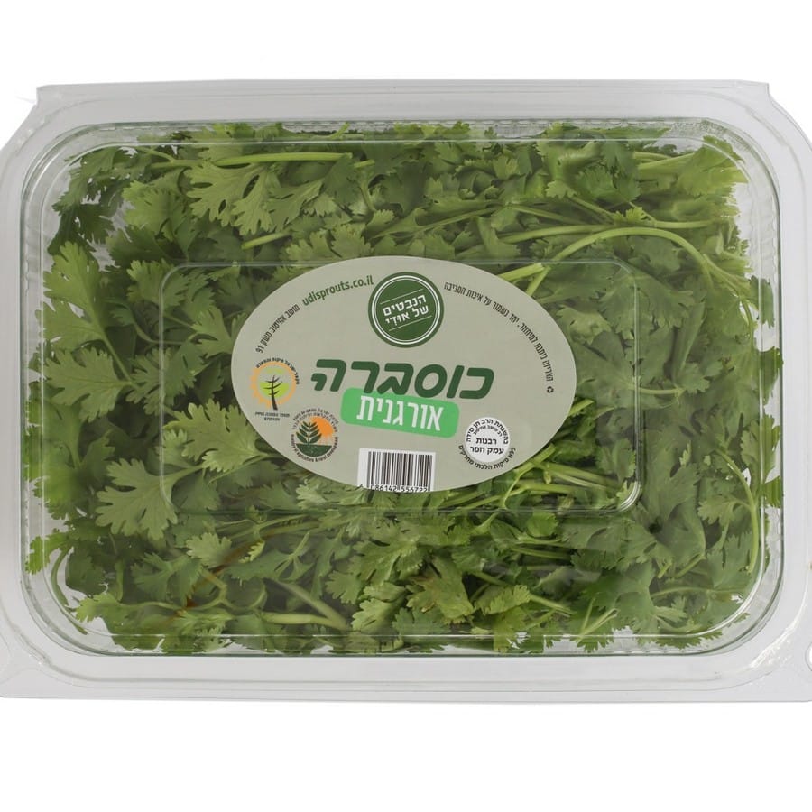 כוסברה אורגנית