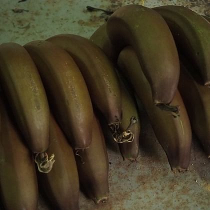 בננות אדומות