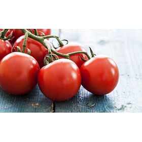 עגבניות "מגי" אורגניות. תוצרת ערבה מזרחית.