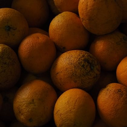 תפוז טבורי אורגני