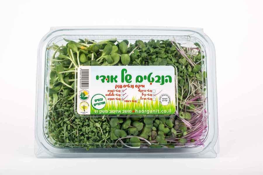 מיקס נבטים אורגנים ענק