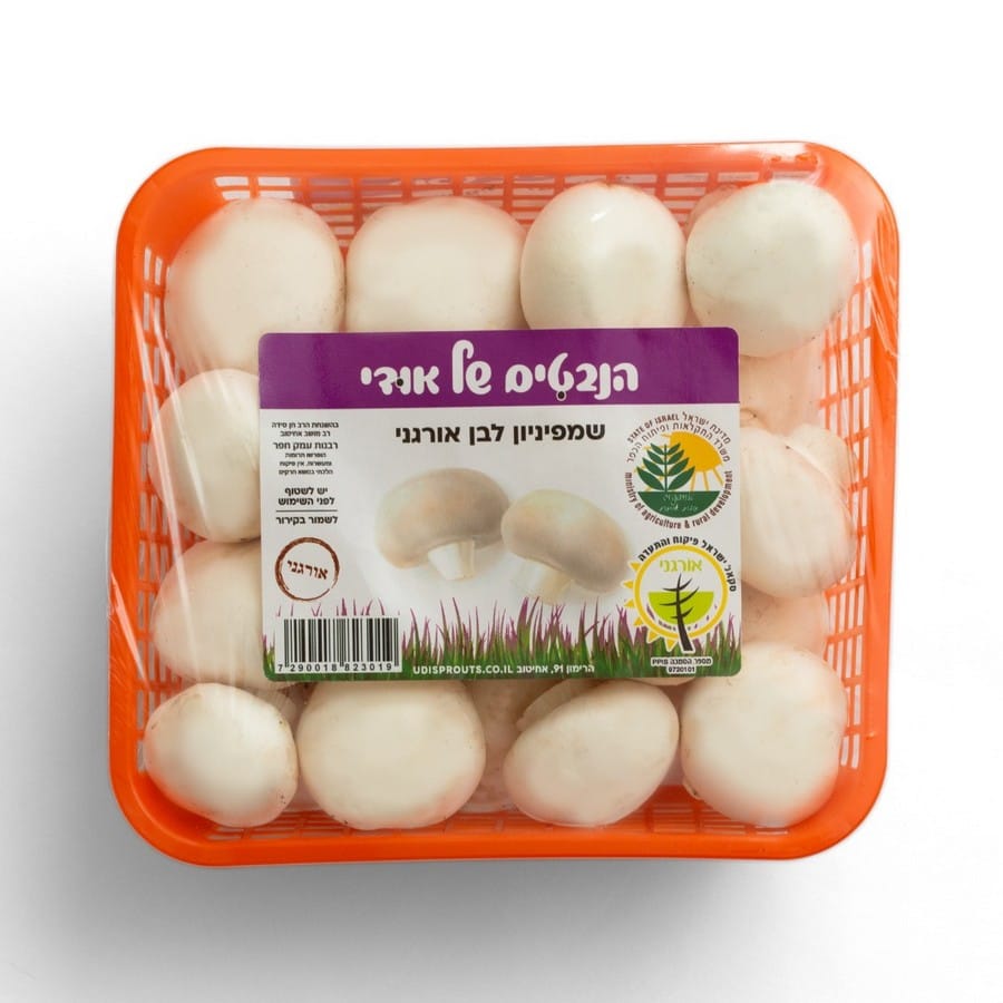 פטריות שמפיניון לבנות אורגניות