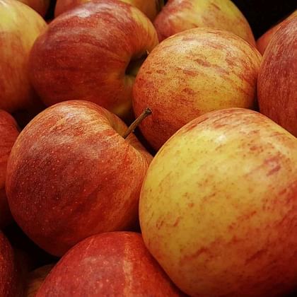 תפוח עץ גאלה ישראלי 2 ק"ג