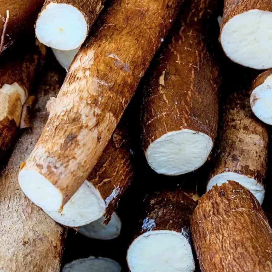 שורש יוקה (קסאווה) אורגני