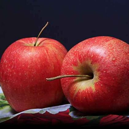 תפוח עץ "גאלה" מושלם  היישר מהקטיף!