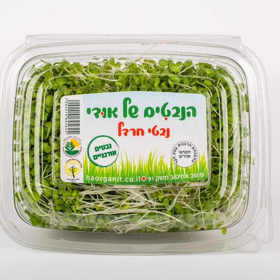 נבטי חרדל אורגנים