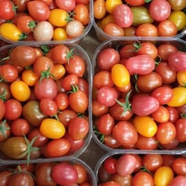 כל עגבניה טעימה להפליא. לפחות 3 זנים: אדום , כתום, צהוב, ורוד, ליקופן