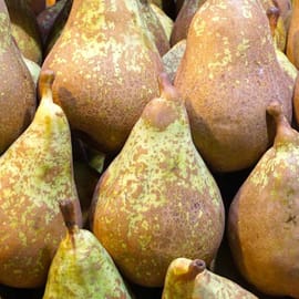 זן ותיק שמוצאו בצרפת. ציפה לבנה. רך, מתוק ואומרטי. איטליה