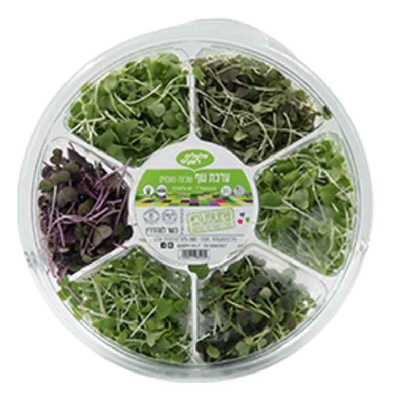 גלגל שף 7 תאים