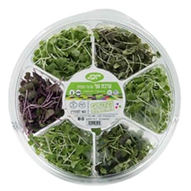 7 סוגים שונים של מיקרו, ארוזים בערכה שימושית ונגישה, לשפים ולבית כאחד