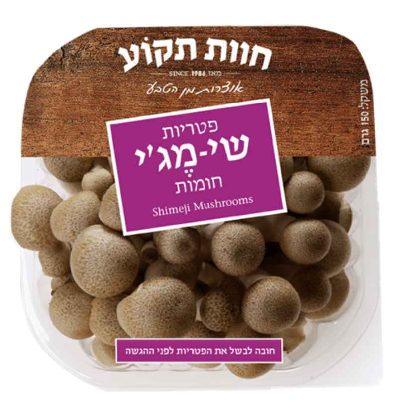 פטריות 