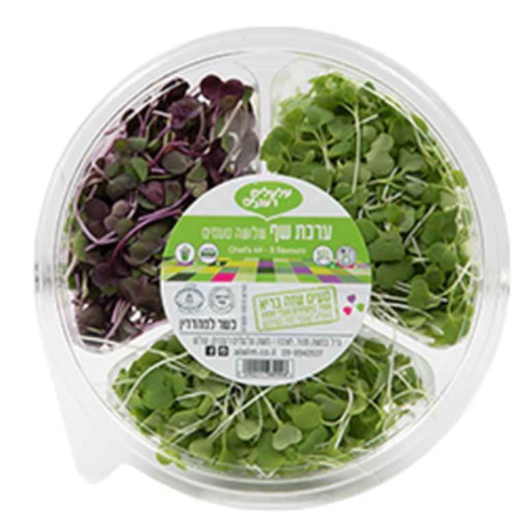 גלגל שף 3 תאים