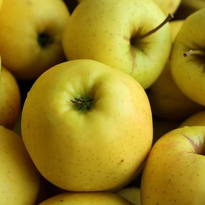 תפוח עץ "אופל" אורגני בפיקוח