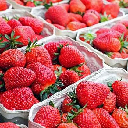 תותים נקיים מרעלים בפיקוח אורגני מארז 250 גר'