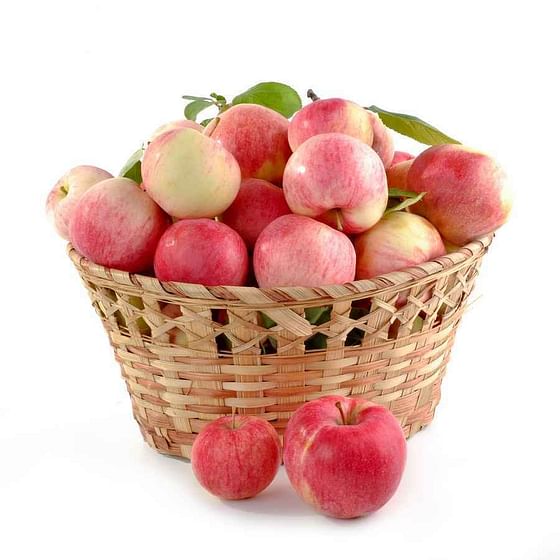 תפוח עץ פינק ליידי אורגני 2 מארזים