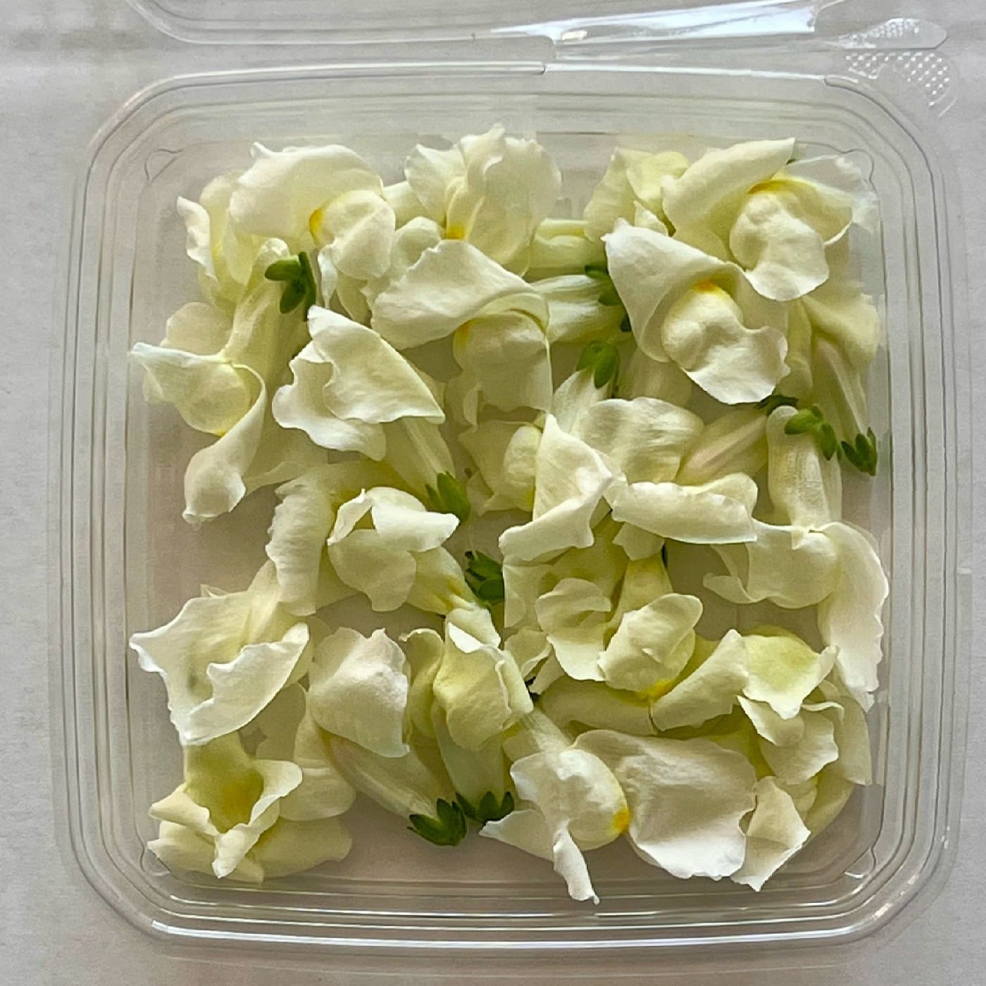 פרחי לוע ארי