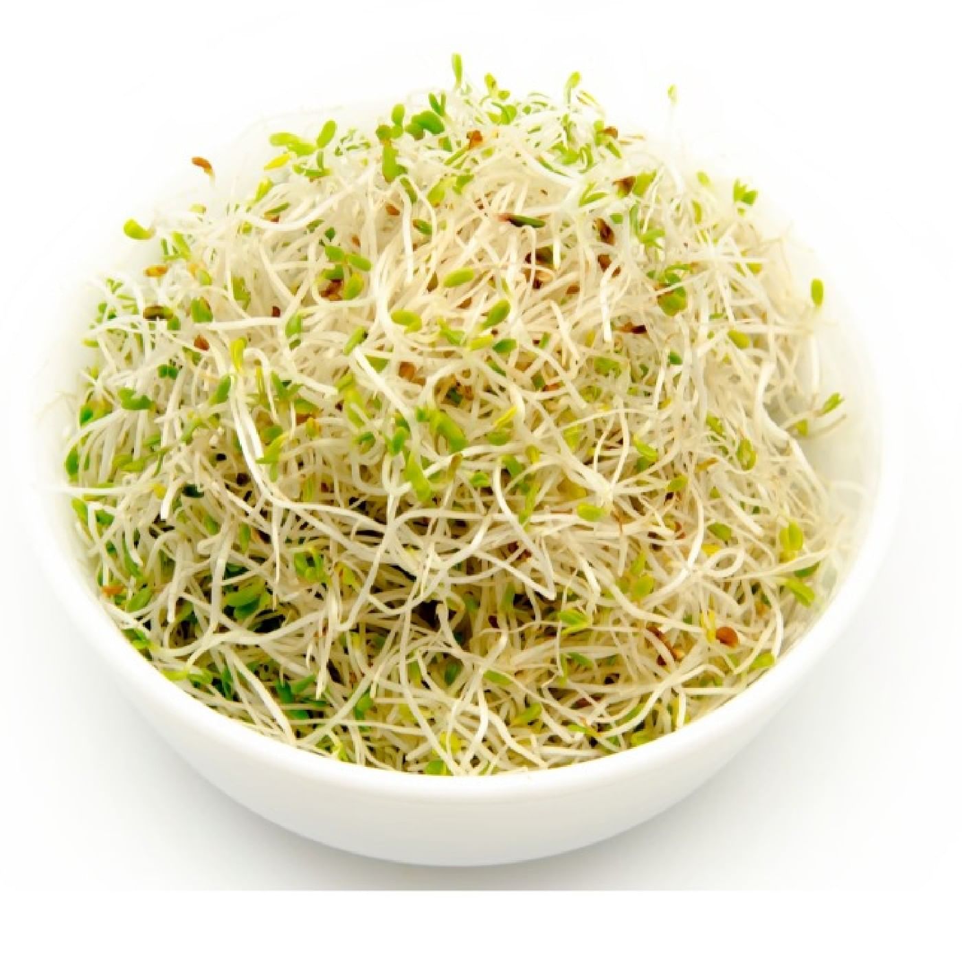 נבטי אלפלפא מהדרין