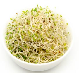 מארז כ- 80 גרם. בפיקוח הלכתי בנושא חרקים