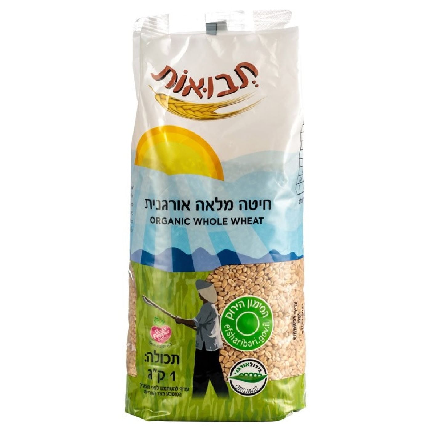 חיטה מלאה אורגנית תבואות