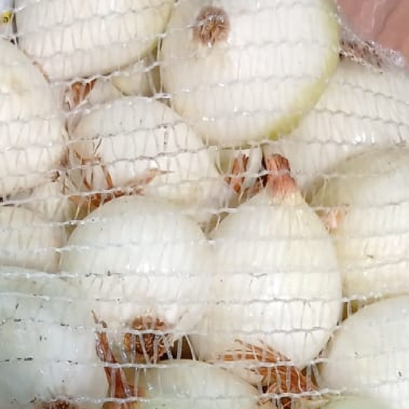 בצל לבן קלוף