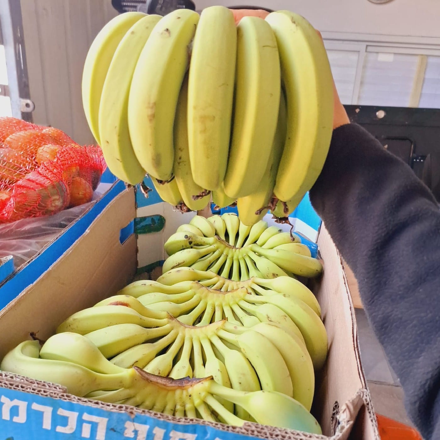 בננה אורגנית