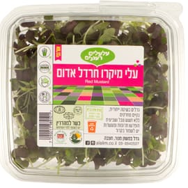 עלים בצבע ירוק-אדום. מעט פיקנטי (פחות מהירוק) וגם מעולה לסלט