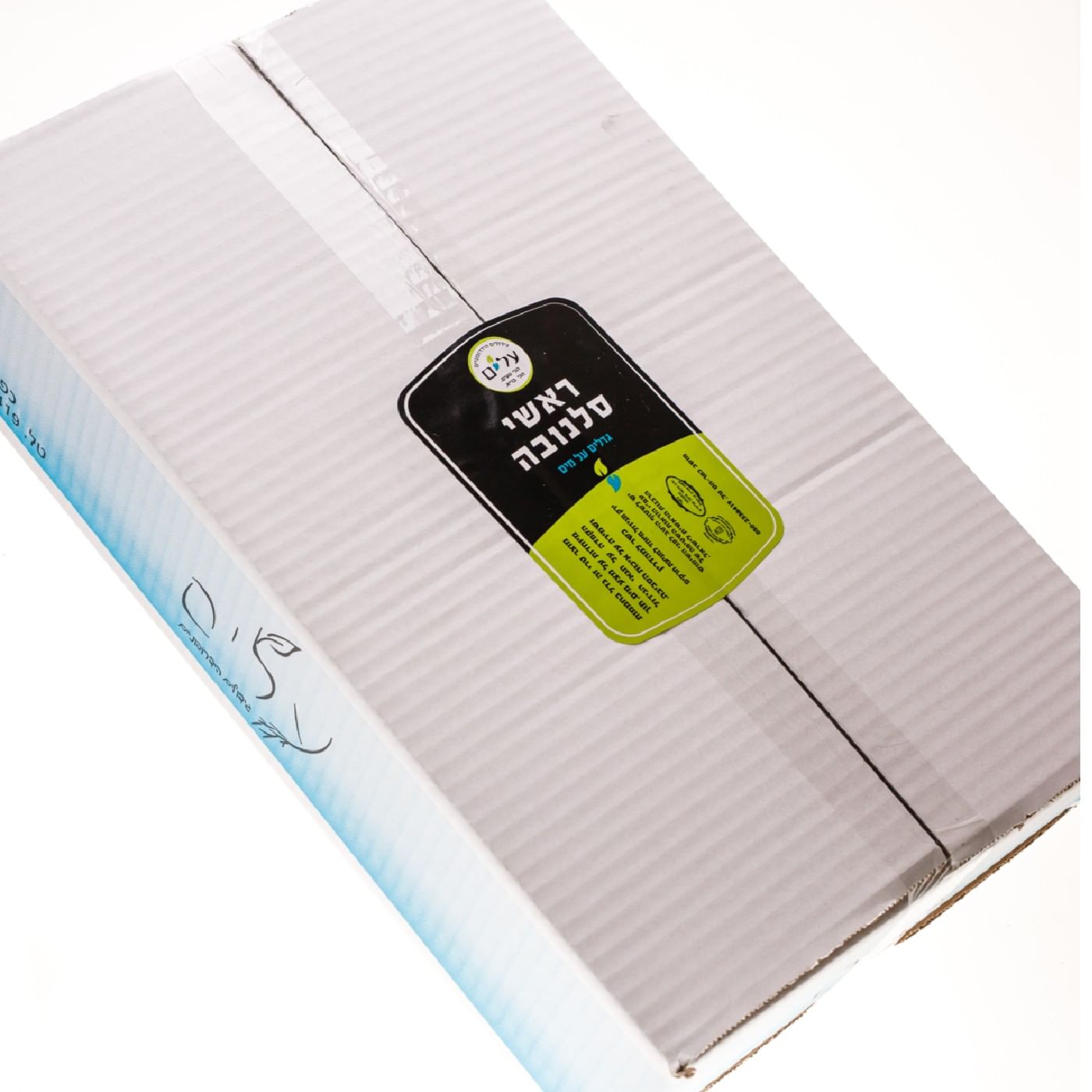 חסה סלנובה הידרופונית - שישייה