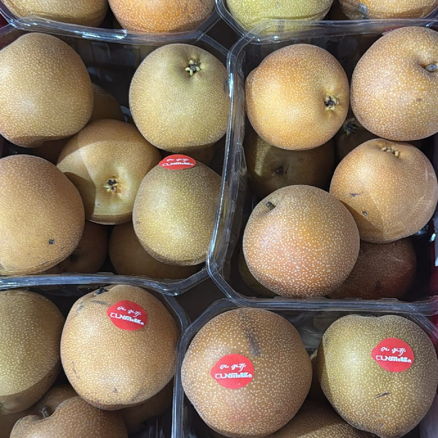 אגס נאשי אסייתי