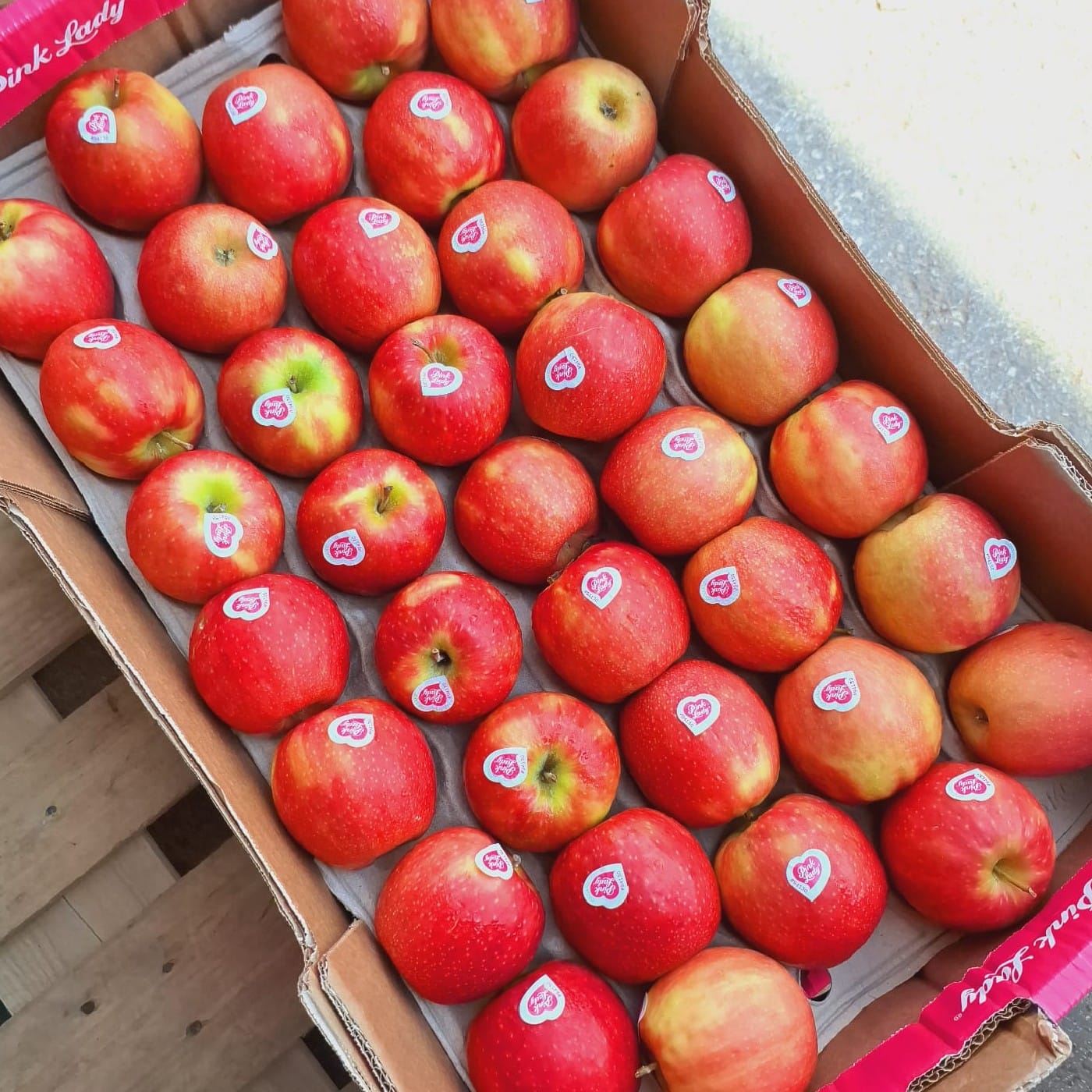 תפוח עץ פינק ליידי אורגני