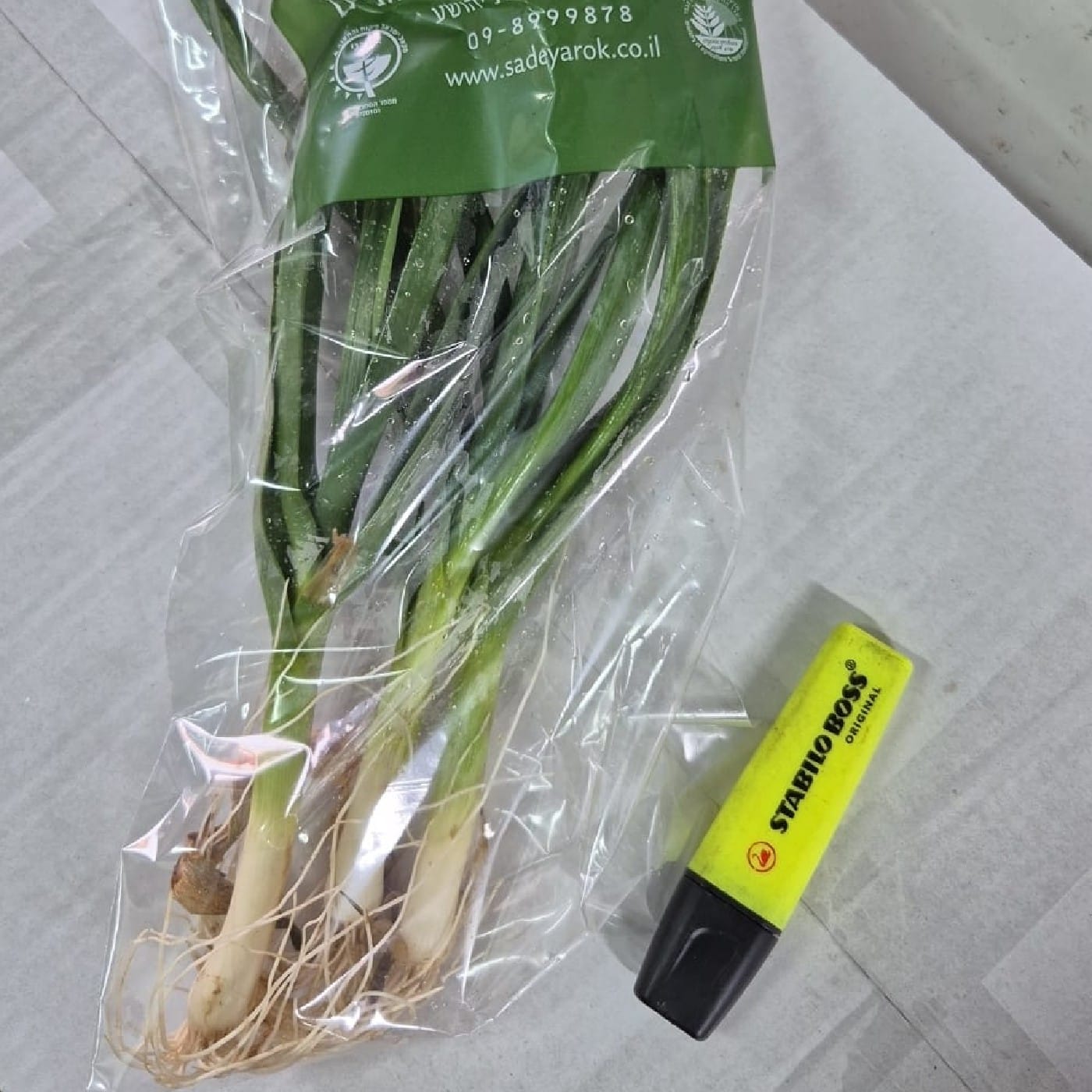 שום ירוק אורגני