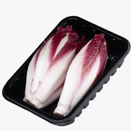 זוג לבבות אנדיב טריים - מרינה