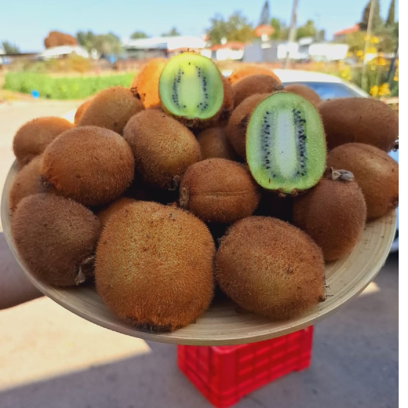 קיווי ירוק אורגני