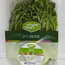 סוג של עולש (אנדיב) איטלקי